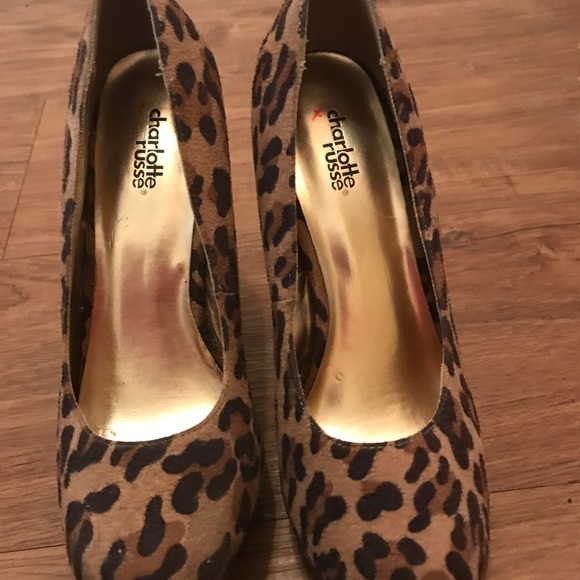 Leopard heals - Picture 2 of 2